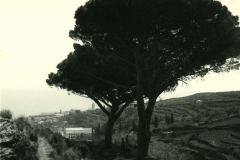 Bastia_Biguglia_2