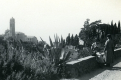Capo_di-Lino2