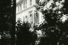 Corté_Hotel du parc