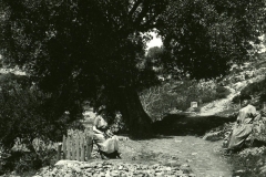 Corté_Tivignano3