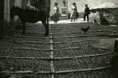 Corte_ Rue_Scoliscia