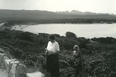 Golfe Ventilegine