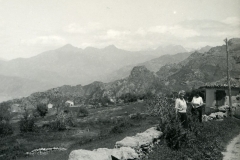 Lavo