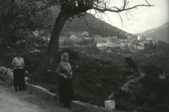 Olmetto