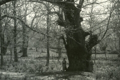 San_Gavino_2