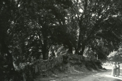 San_Gavino_3