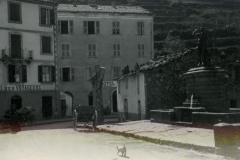 Vivario