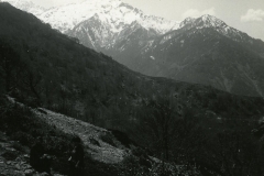 Vizzavona_Pass_Boco