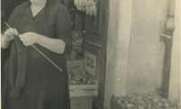 1950_2023_1