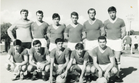 Aspv_003-1966_D
