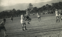 Aspv_012-1964_D