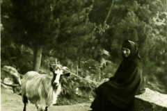 Queli_194