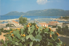 Ann_110