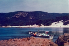 Ann_31