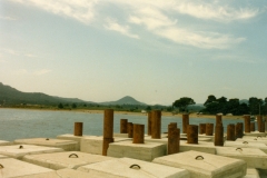 Ann_33