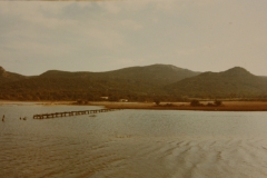 Ann_49