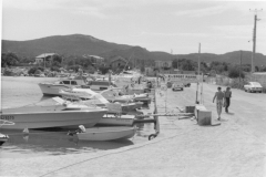 Ann_5