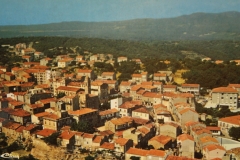 Ann_55