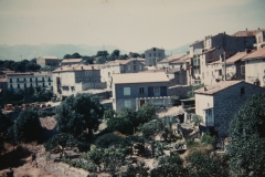 Ann_69