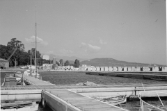 Ann_8