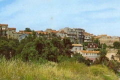 Ann_97