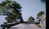 Ospedali_20215