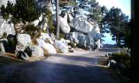 PICT0042