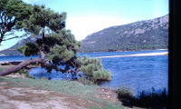 PICT0096