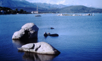 PICT0098