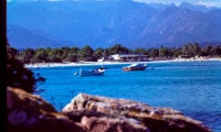 PICT0703