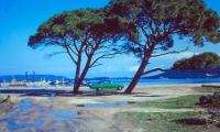 PICT0736