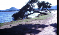 Plage_1960101