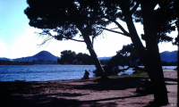 Plage_1960102