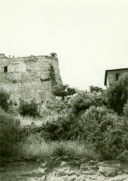 2020129_4