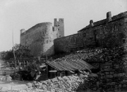 Bast_16