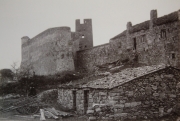 Bast_6