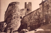 Bast_7