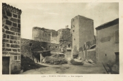 Bast_8