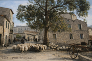 Color_0019