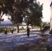 Colorisation_1