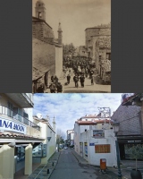AvaP_25