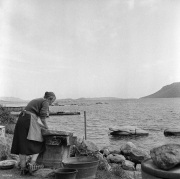 Marine-Lessive