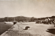 Marine_113