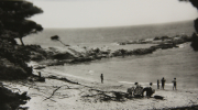Marine_135