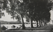 Marine_136