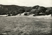 Marine_201