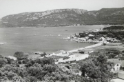 Marine_202