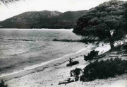 Marine_215