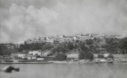 Marine_234