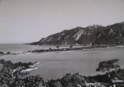 Marine_242